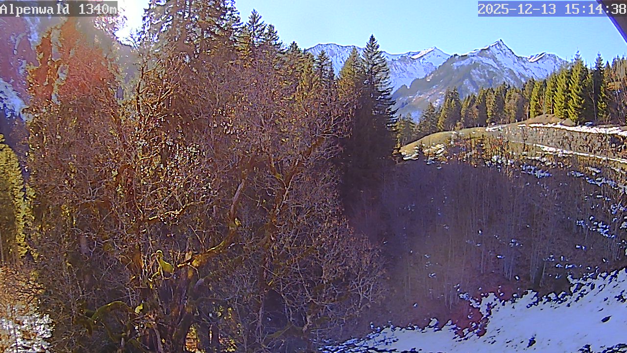 Bild: Gasthof Alpenwald